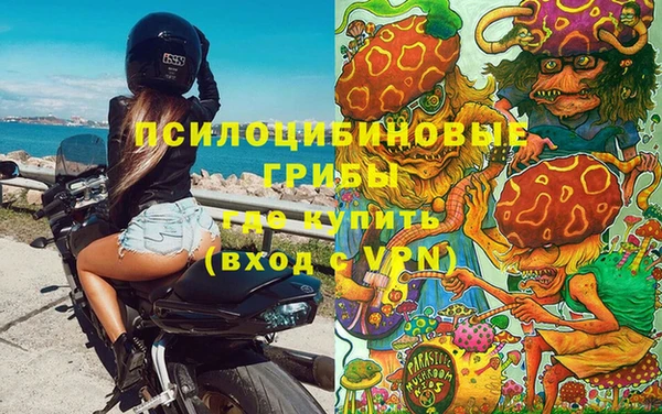 apvp Саяногорск