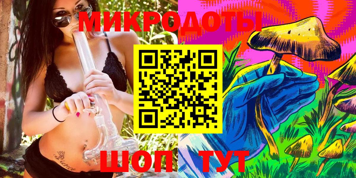Псилоцибиновые грибы Psilocybine cubensis Красноармейск
