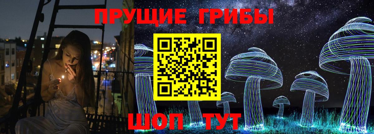 Красноармейск  Псилоцибиновые грибы Psilocybine cubensis  Псилоцибиновые грибы GOLDEN TEACHER  Вход с VPN 